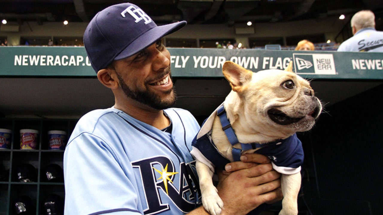 David Price and Astro headed for Motown